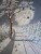 paysage de neige