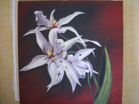 fleurs 